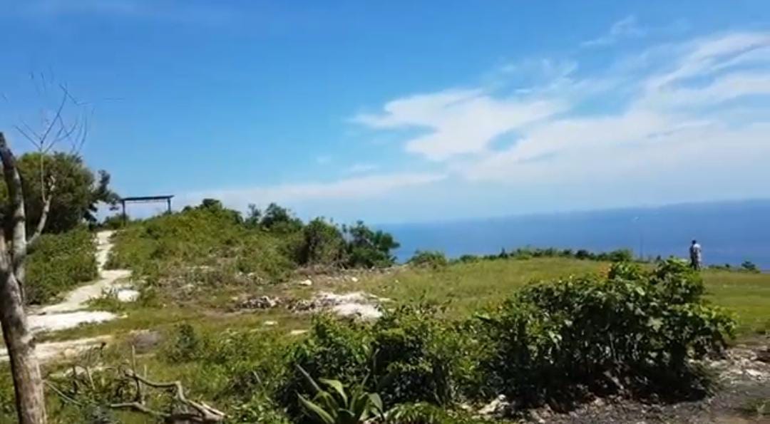 Selon Beach — visuel 2 du dossier vendeur
